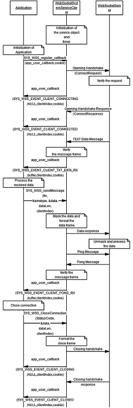 API_Usage_WSClient_basic